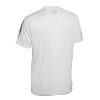 Футболка SELECT Pisa player shirt s/s White-Black